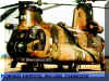 chinook7.JPG (57905 bytes)